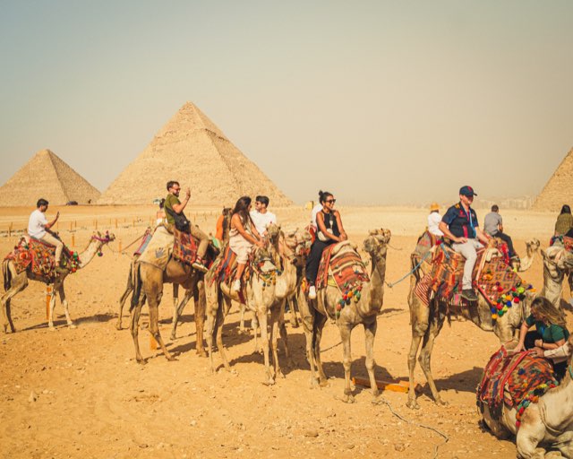 Enev Travel — Travel